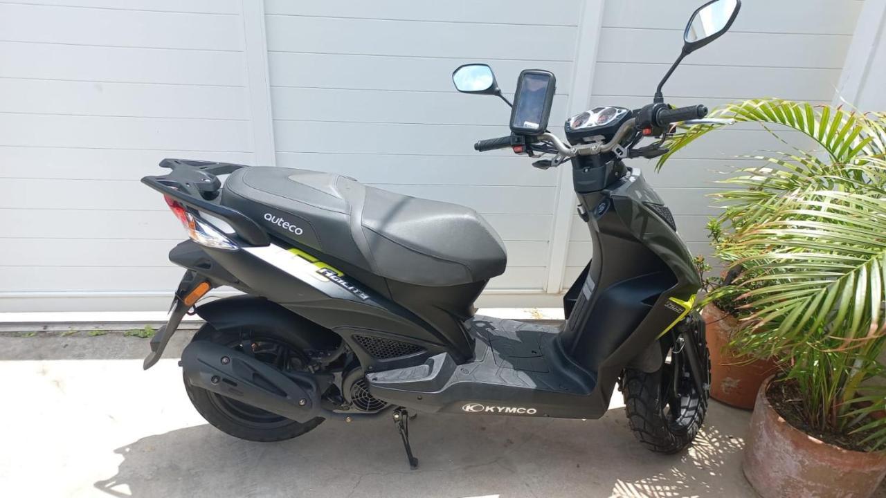 The Jazmin'S Apto B Ораниестад Екстериор снимка
